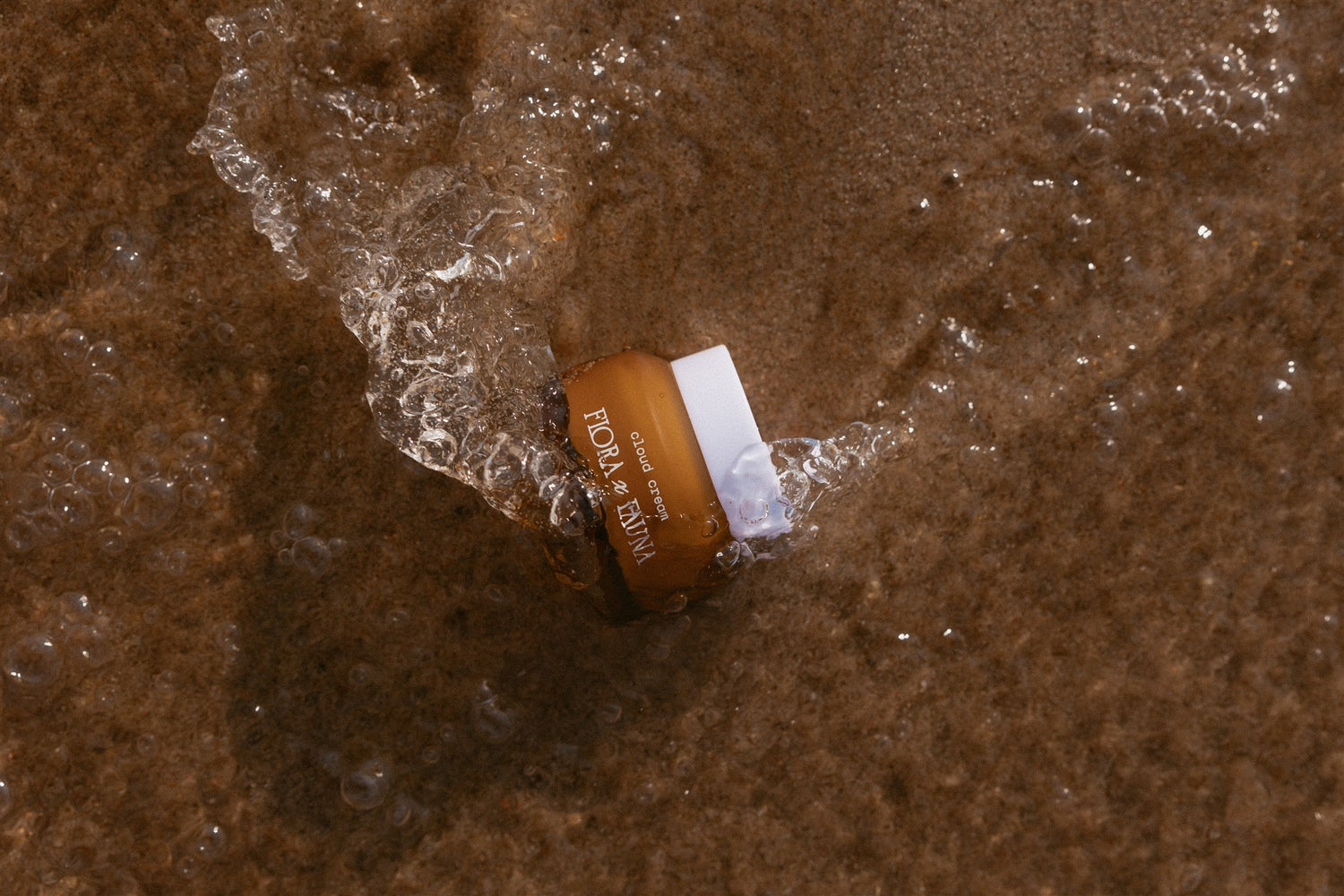 Cloud Cream laying in the sand and water on the beach.