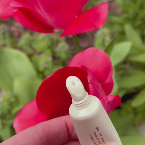 squeezing lip nectar in front of tulips